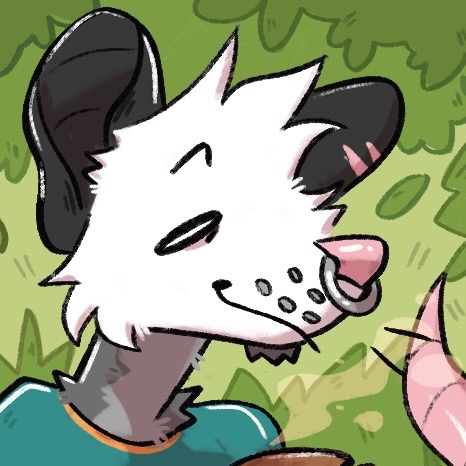 The Gay Possum